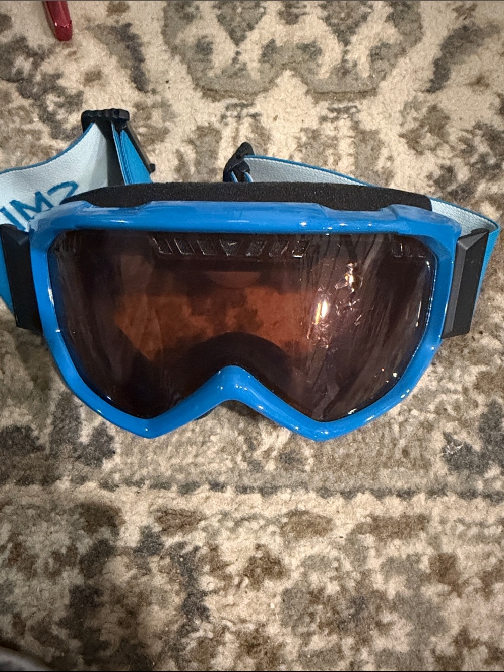 SMITH Blue Strap Ski/Snowboard Goggles with Tinted Lens